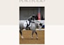 create authentic equestrian ugc videos for your brand